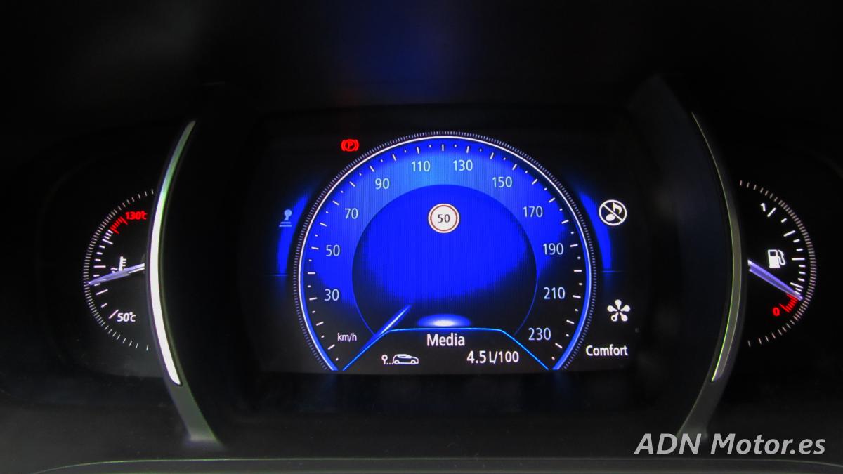 Renault Megane (78)